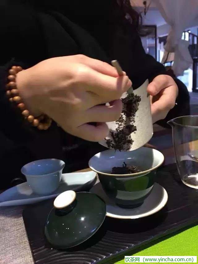 饮茶网