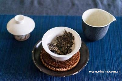 抖音普洱茶直播基地：优质茶叶，原产地直播，正宗品质！