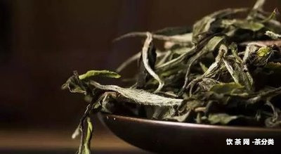 普洱茶的独特魅力：口感、气味与风味的综合体验
