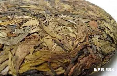 什么是普洱茶樟香茶叶的特点之一？