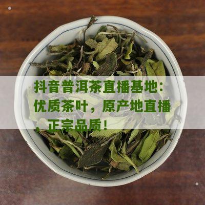 抖音普洱茶直播基地：优质茶叶，原产地直播，正宗品质！