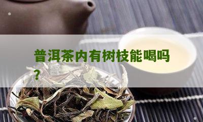 普洱茶内有树枝能喝吗？