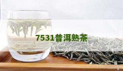 7531普洱熟茶