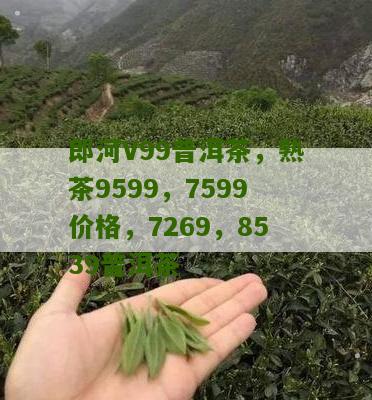 郎河V99普洱茶，熟茶9599，7599价格，7269，8539普洱茶