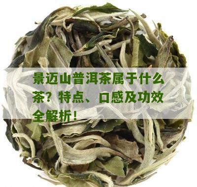 景迈山普洱茶属于什么茶？特点、口感及功效全解析！