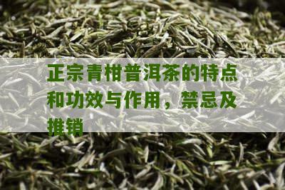 正宗青柑普洱茶的特点和功效与作用，禁忌及推销