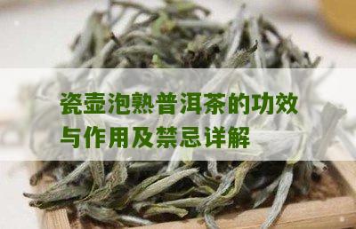 瓷壶泡熟普洱茶的功效与作用及禁忌详解